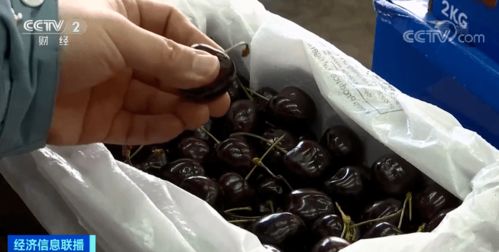 常州車厘子價格腰斬 你今年實現車厘子自由了嗎