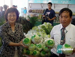 臺灣云林縣長被檢方拘提 疑似涉及收賄500萬元