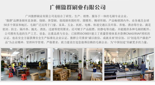 黑色手扶梯毛刷 傲群廠家直銷 質(zhì)量保證 定制單排手扶梯毛刷