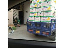 保健品源頭廠家商品服務與報價詳情